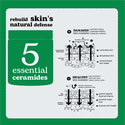 BEESLINE EVERYONE CREME BARRIERE 50ML