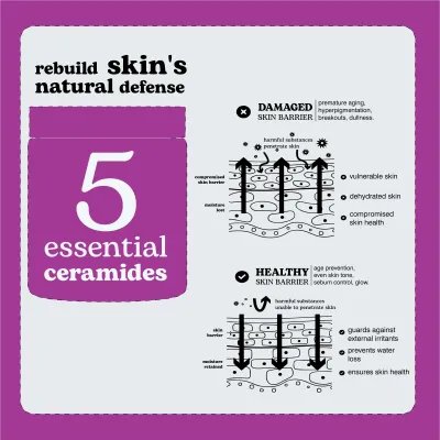 BEESLINE FUTURE CREME BARRIERE 50ML