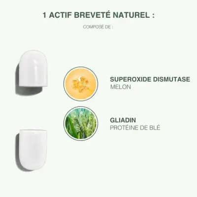 GLISODIN V-SOD 60 GELULES