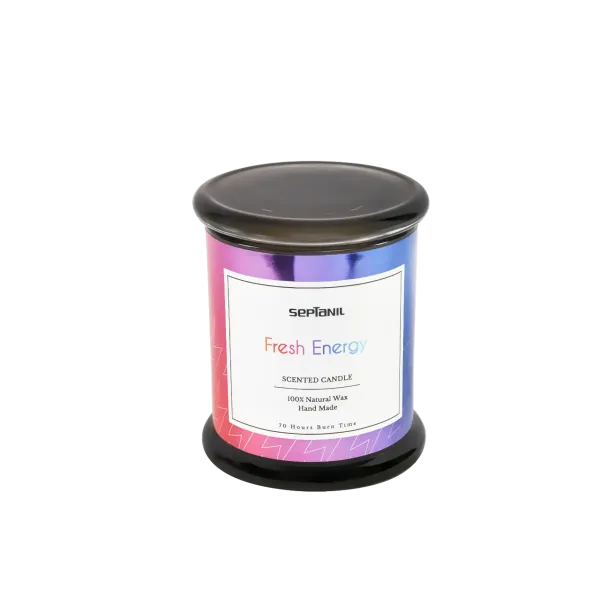 SEPTANIL BOUGIE PARFUMEE FRESH ENERGIE 280GR