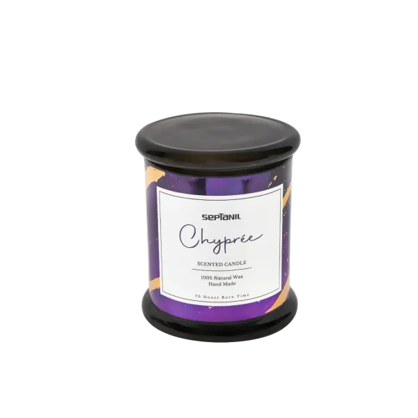 SEPTANIL BOUGIE PARFUMEE CHYPREE 280GR