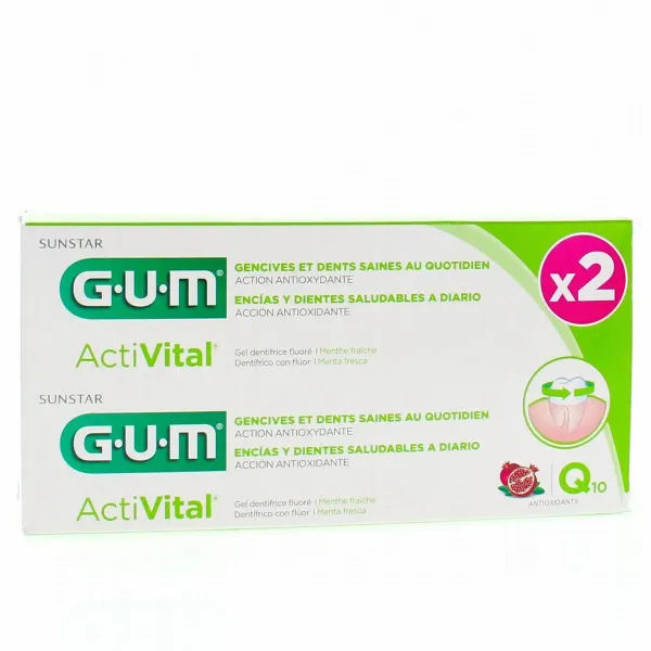 GUM ACTIVITAL DENTIFRICE GEL LOT DE 2*75ML