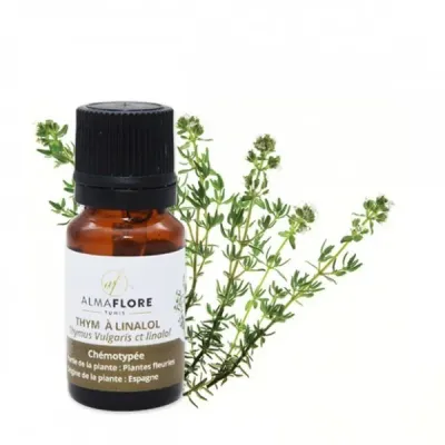 ALMAFLORE HUILE ESSENTIELLE DE THYM A THYMOL 10ML
