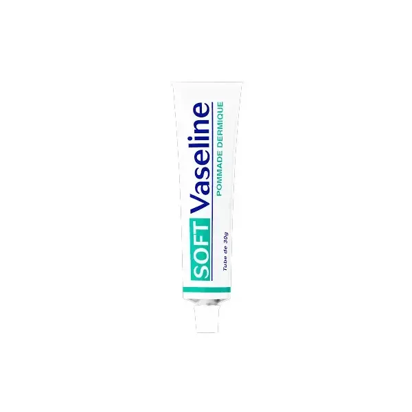 VASELINE POMMADE DERMIQUE 30 G