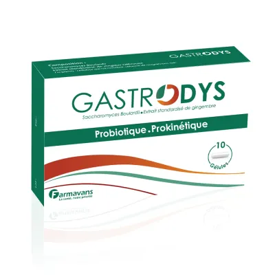 FARMAVANS GASTRODYS 10 GÉLULES