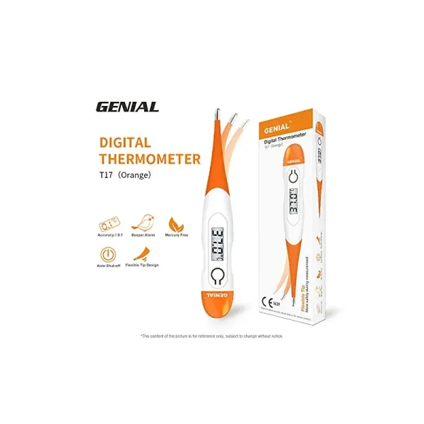 GENIAL THERMOMETRE ELECTRONIQUE FLEXIBLE