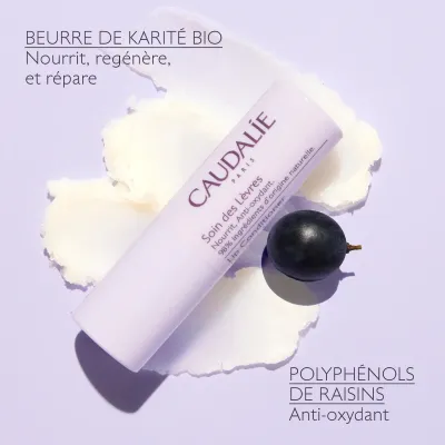 CAUDALIE VINOTHERAPIST SOIN DES LEVRES 4.5G