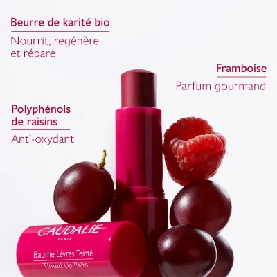 CAUDALIE VINOTHERAPIST BAUME LEVRES TEINTE 4,5G