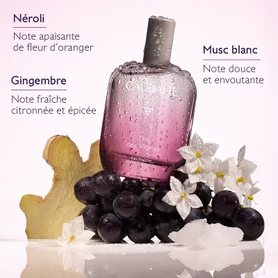 CAUDALIE EAU FRAICHES PARFUM EAU DES VIGNES 50ML