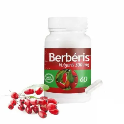 PHYTO D'ART BERBERIS VULGARIS 60 GELULES