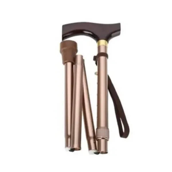 CANNE A MAIN PLIANTE EN BRONZE