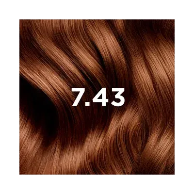 PHYTO PHYTOCOLOR 7.43 BLOND CUIVRE DORE 1 KIT