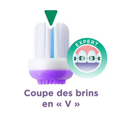 GUM BROSSE A DENTS ORTHO (125)