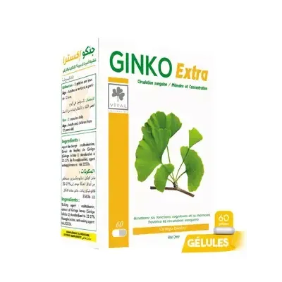 VITAL GINKO EXTRA 60 GELULES