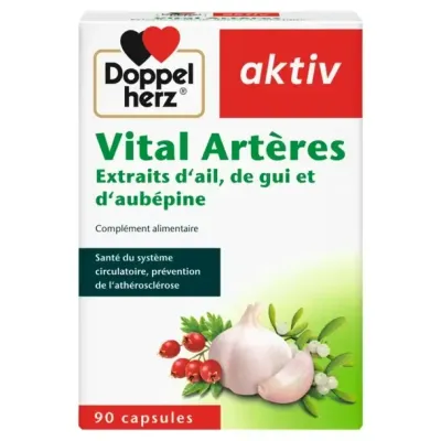 AKTIV VITAL ARTERES 90 GELULES